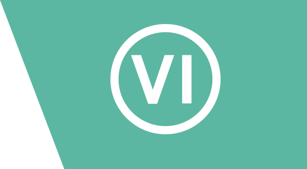 Visuvio Logo Icon